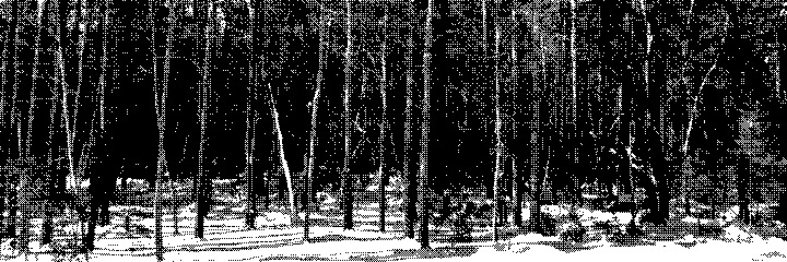Transmission Page